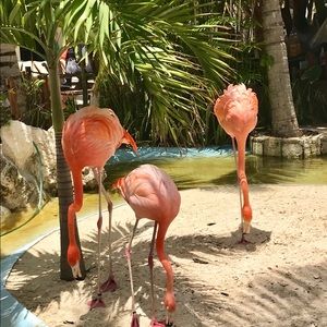 Meet your Posher, Jenn